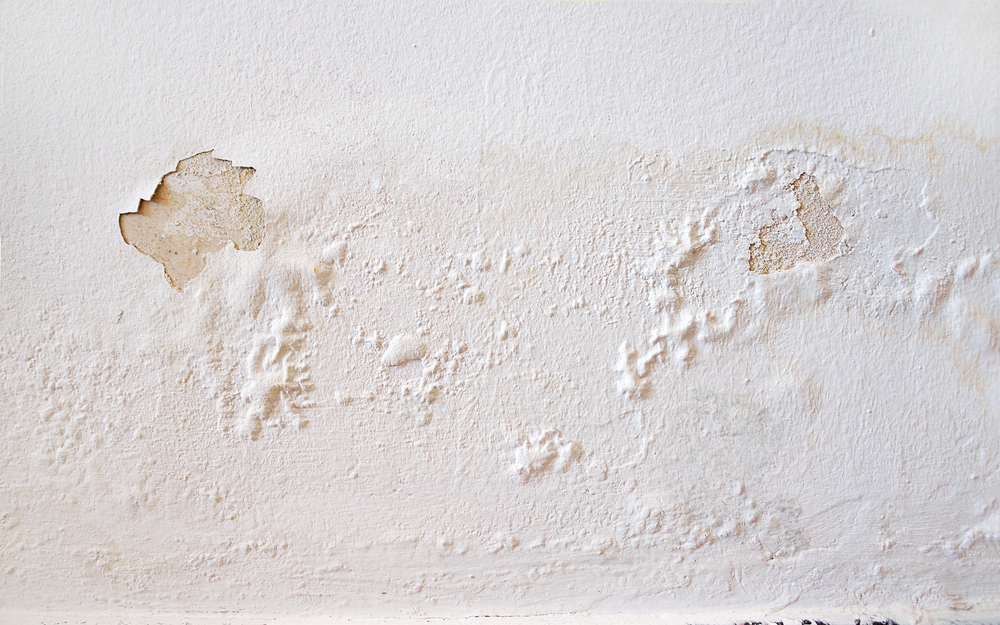 Signs of Roof Leak Roof Leak Repair NJ PRO